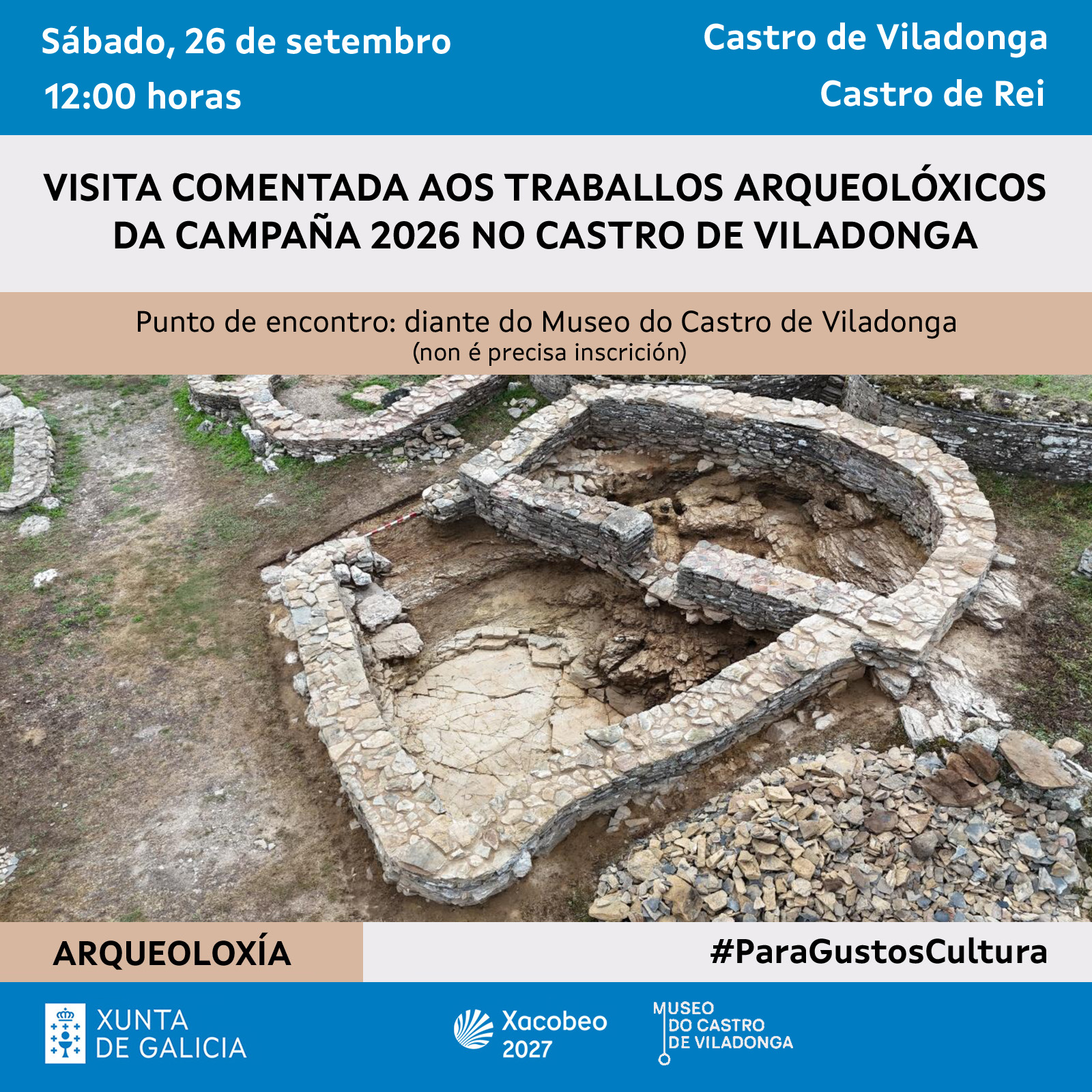Castro de Viladonga