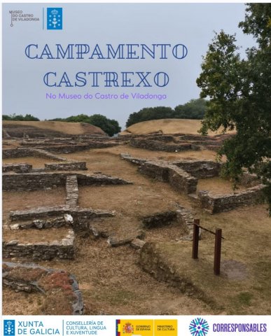 Castro de Viladonga