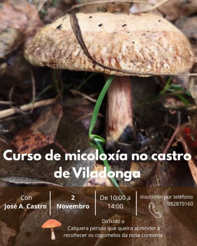 Castro de Viladonga