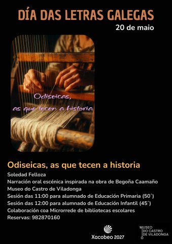Castro de Viladonga